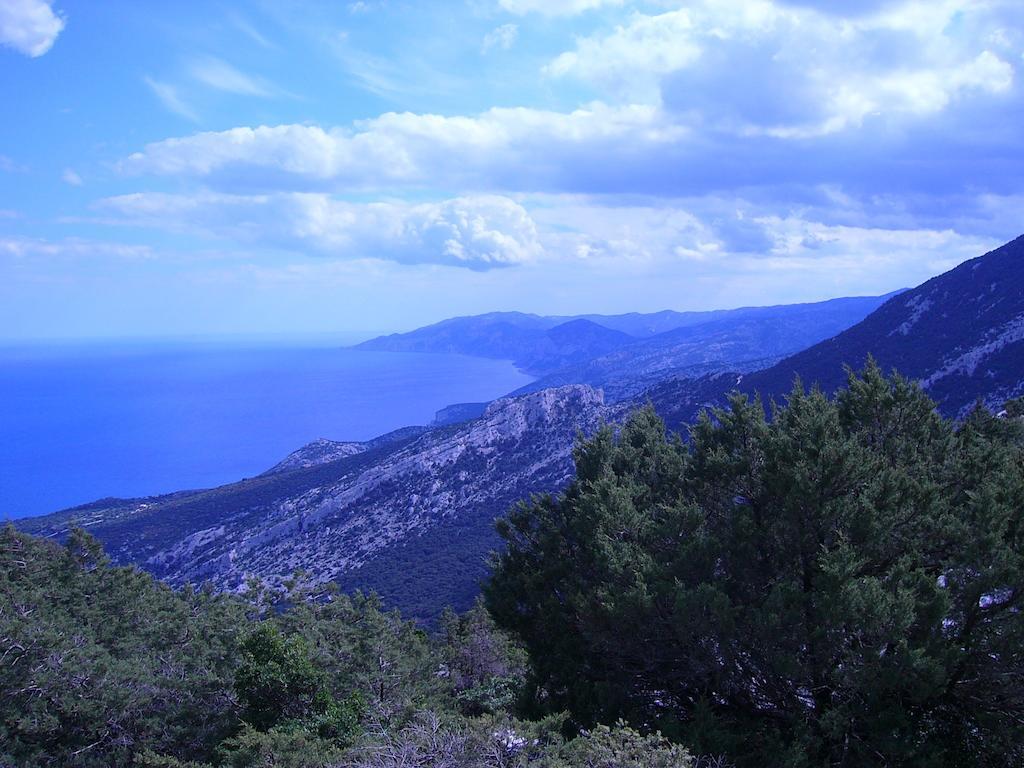 B&B Luce Viola Dorgali Exterior photo