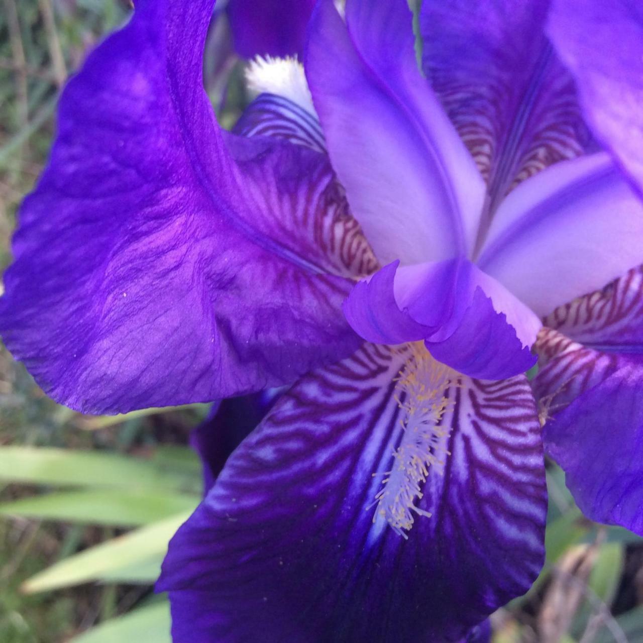 B&B Luce Viola Dorgali Exterior photo